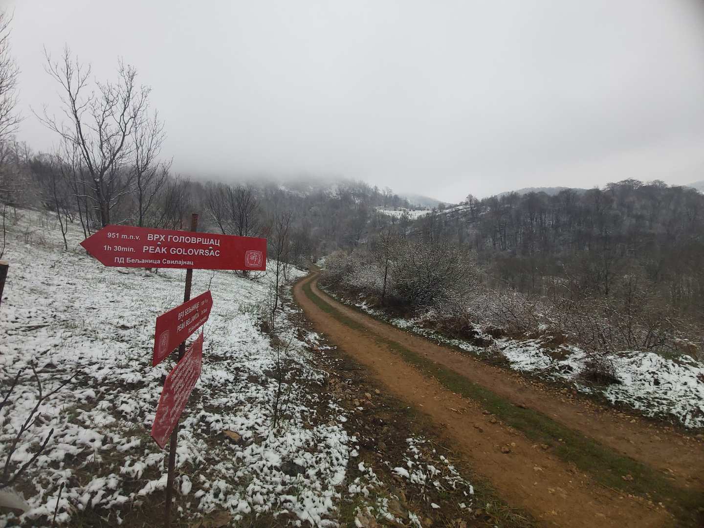 Golovršac